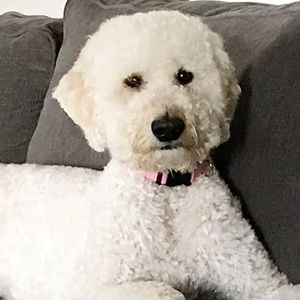 Meet your Posher, Stacy